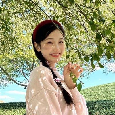 第19分部