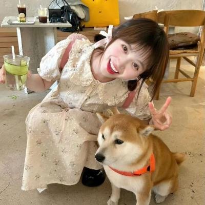 366日